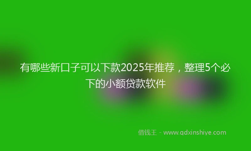 有哪些新口子可以下款2025年推荐，整理5个必下的小额贷款软件