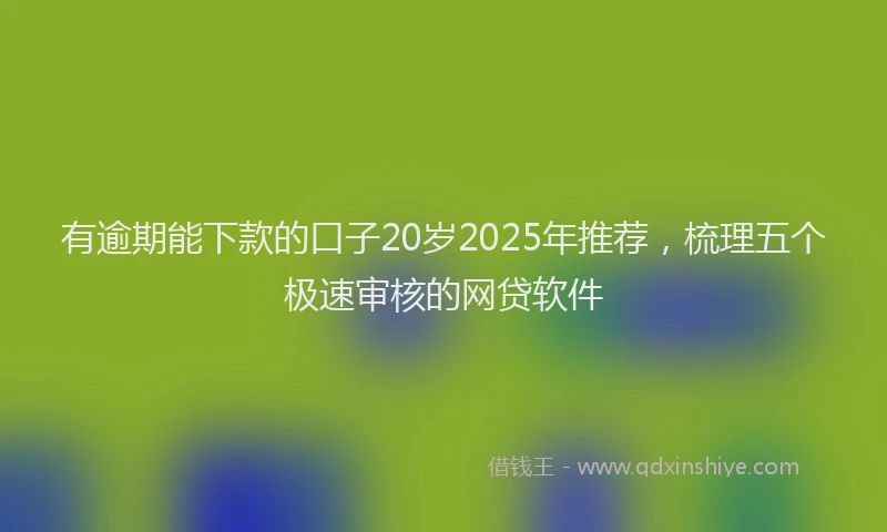 有逾期能下款的口子20岁2025年推荐，梳理五个极速审核的网贷软件