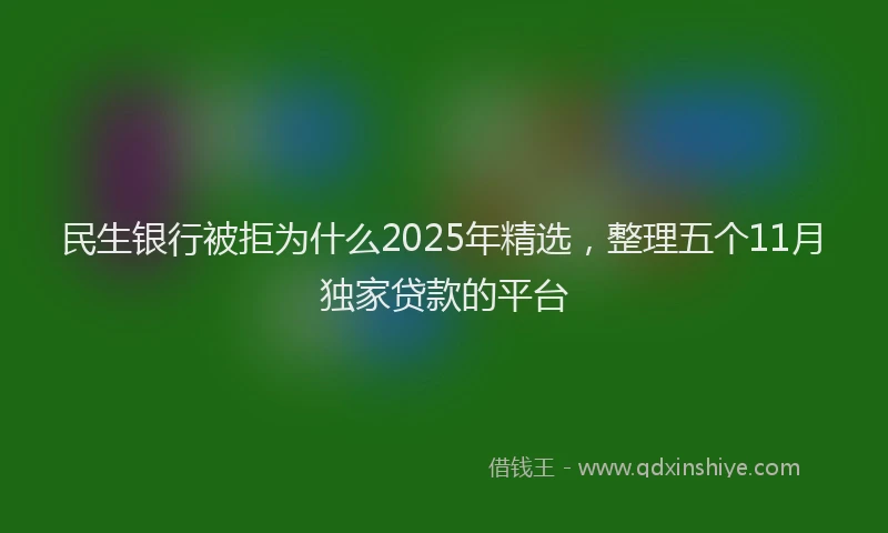 民生银行被拒为什么2025年精选，整理五个11月独家贷款的平台