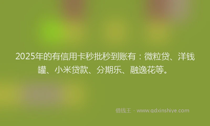 2025年的有信用卡秒批秒到账有：微粒贷、洋钱罐、小米贷款、分期乐、融逸花等。