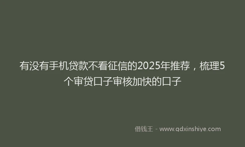 有没有手机贷款不看征信的2025年推荐，梳理5个审贷口子审核加快的口子