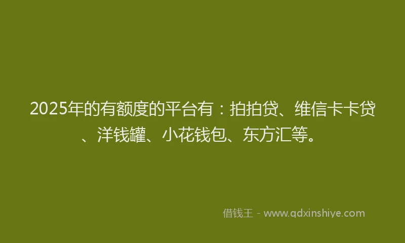 2025年的有额度的平台有：拍拍贷、维信卡卡贷、洋钱罐、小花钱包、东方汇等。