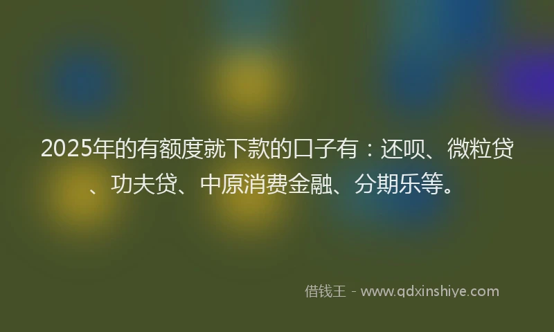 2025年的有额度就下款的口子有：还呗、微粒贷、功夫贷、中原消费金融、分期乐等。