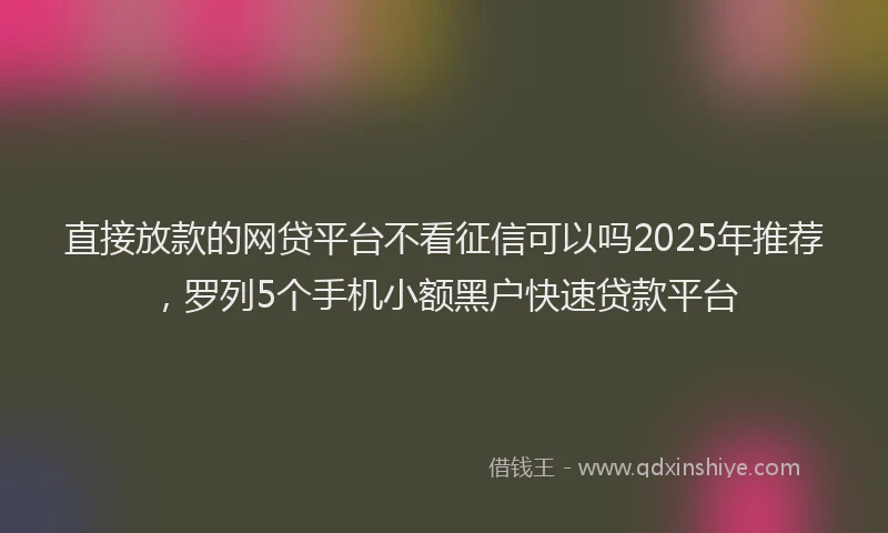 直接放款的网贷平台不看征信可以吗2025年推荐，罗列5个手机小额黑户快速贷款平台