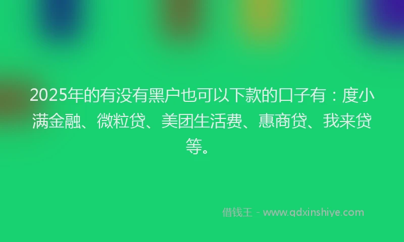 2025年的有没有黑户也可以下款的口子有：度小满金融、微粒贷、美团生活费、惠商贷、我来贷等。