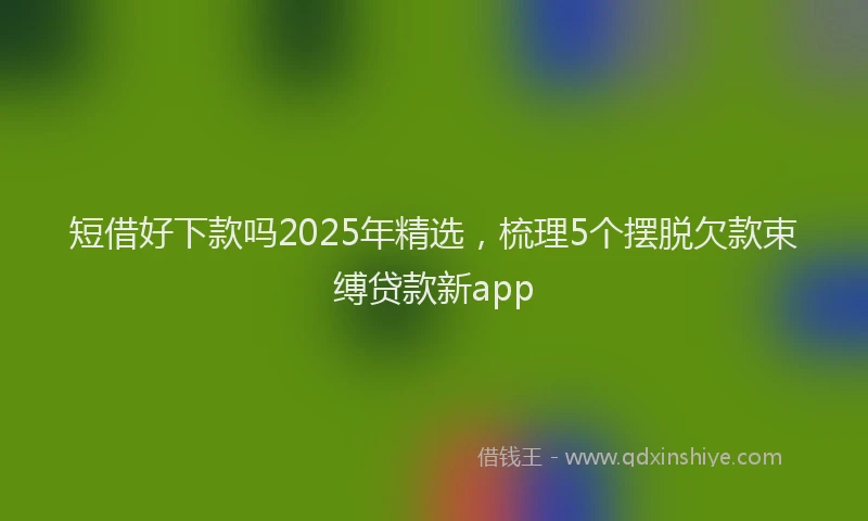 短借好下款吗2025年精选，梳理5个摆脱欠款束缚贷款新app