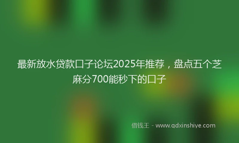 最新放水贷款口子论坛2025年推荐，盘点五个芝麻分700能秒下的口子