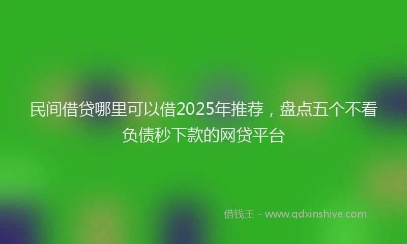 民间借贷哪里可以借2025年推荐，盘点五个不看负债秒下款的网贷平台