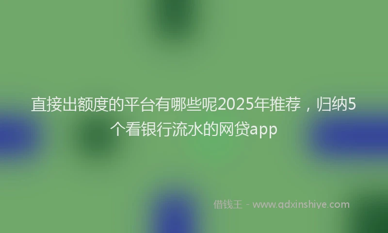 直接出额度的平台有哪些呢2025年推荐，归纳5个看银行流水的网贷app