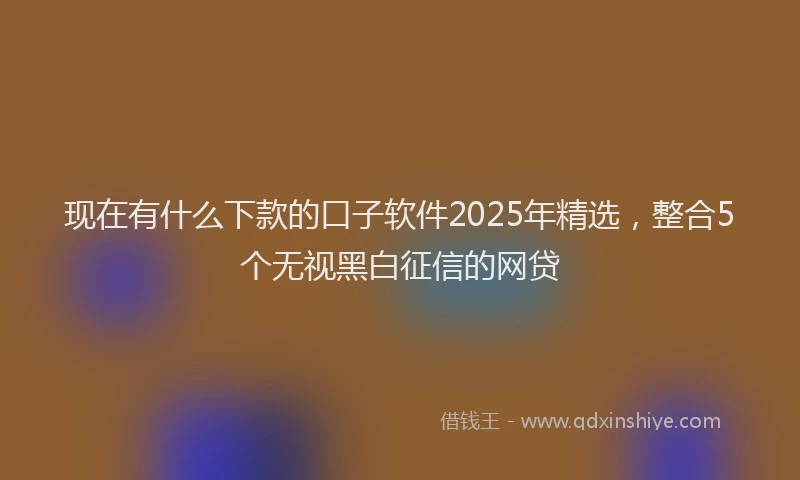现在有什么下款的口子软件2025年精选，整合5个无视黑白征信的网贷