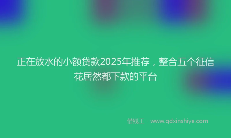 正在放水的小额贷款2025年推荐，整合五个征信花居然都下款的平台