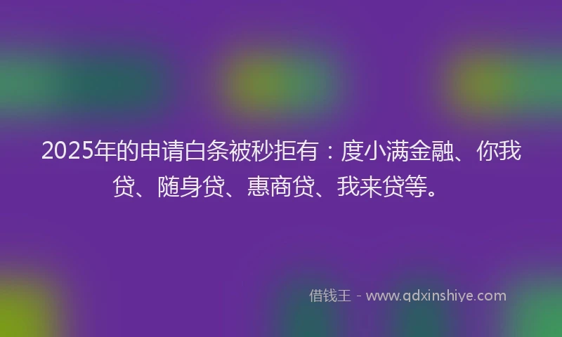 2025年的申请白条被秒拒有：度小满金融、你我贷、随身贷、惠商贷、我来贷等。