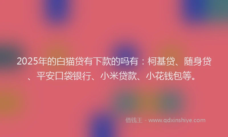 2025年的白猫贷有下款的吗有：柯基贷、随身贷、平安口袋银行、小米贷款、小花钱包等。