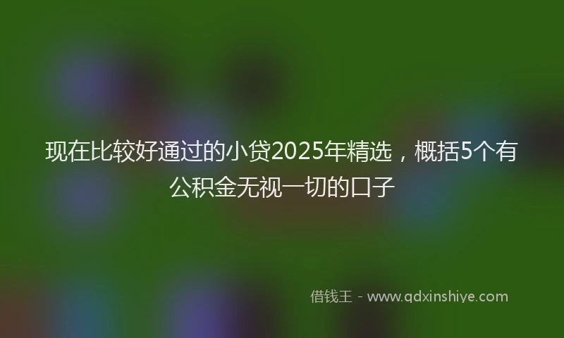 现在比较好通过的小贷2025年精选，概括5个有公积金无视一切的口子