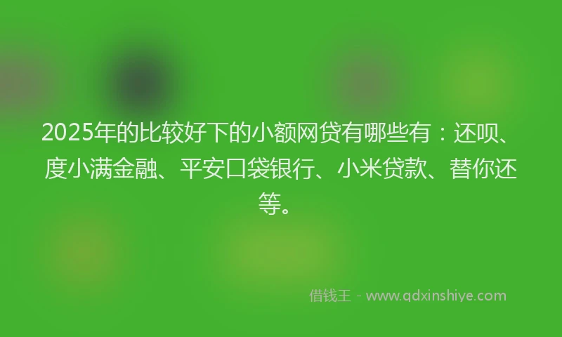 2025年的比较好下的小额网贷有哪些有：还呗、度小满金融、平安口袋银行、小米贷款、替你还等。