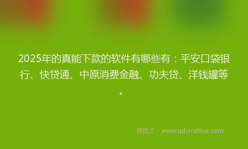2025年的真能下款的软件有哪些有：平安口袋银行、快贷通、中原消费金融、功夫贷、洋钱罐等。