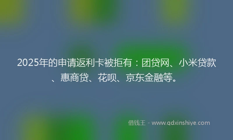 2025年的申请返利卡被拒有：团贷网、小米贷款、惠商贷、花呗、京东金融等。