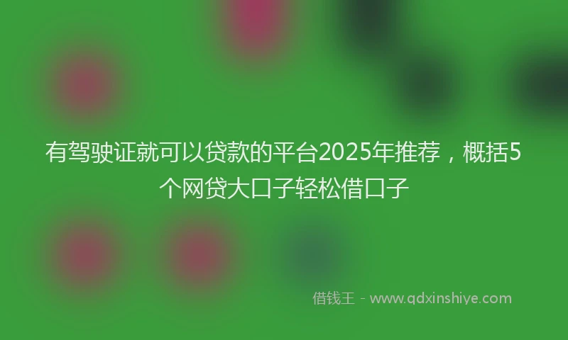 有驾驶证就可以贷款的平台2025年推荐，概括5个网贷大口子轻松借口子