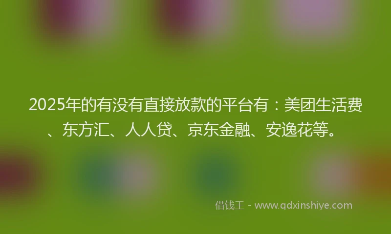 2025年的有没有直接放款的平台有：美团生活费、东方汇、人人贷、京东金融、安逸花等。