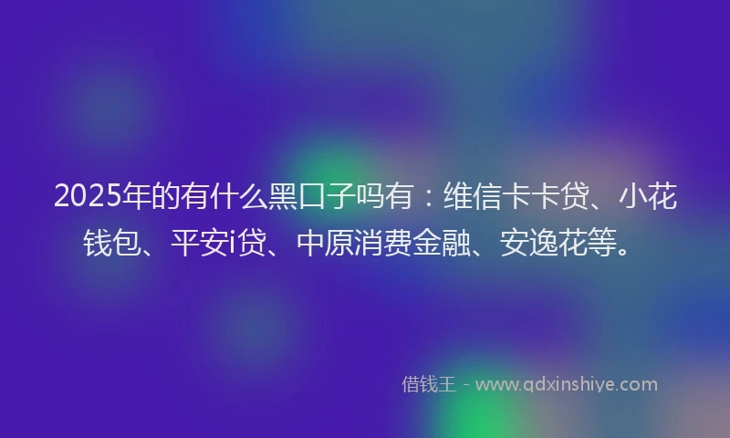 2025年的有什么黑口子吗有：维信卡卡贷、小花钱包、平安i贷、中原消费金融、安逸花等。