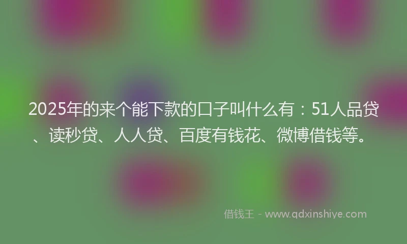 2025年的来个能下款的口子叫什么有：51人品贷、读秒贷、人人贷、百度有钱花、微博借钱等。