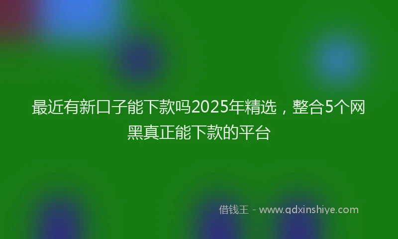 最近有新口子能下款吗2025年精选，整合5个网黑真正能下款的平台