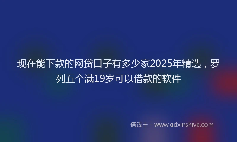 现在能下款的网贷口子有多少家2025年精选，罗列五个满19岁可以借款的软件