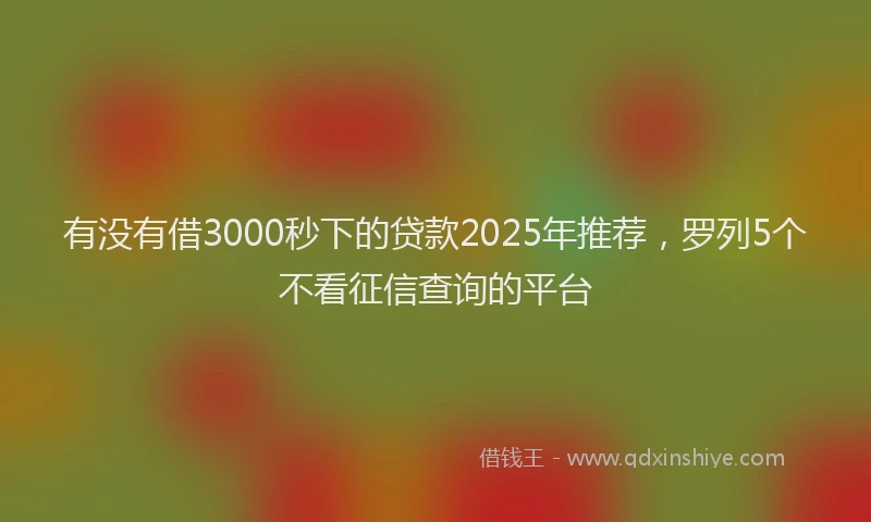 有没有借3000秒下的贷款2025年推荐，罗列5个不看征信查询的平台