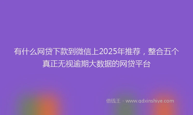 有什么网贷下款到微信上2025年推荐，整合五个真正无视逾期大数据的网贷平台