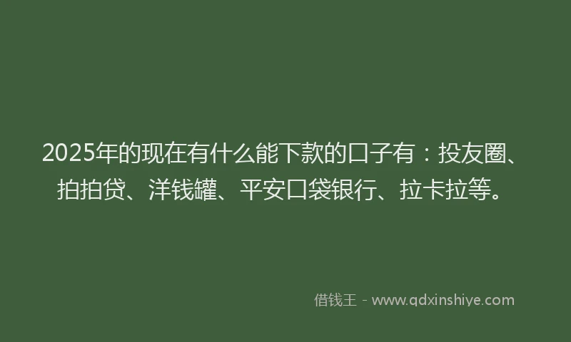 2025年的现在有什么能下款的口子有：投友圈、拍拍贷、洋钱罐、平安口袋银行、拉卡拉等。