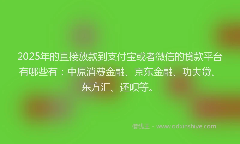 2025年的直接放款到支付宝或者微信的贷款平台有哪些有：中原消费金融、京东金融、功夫贷、东方汇、还呗等。