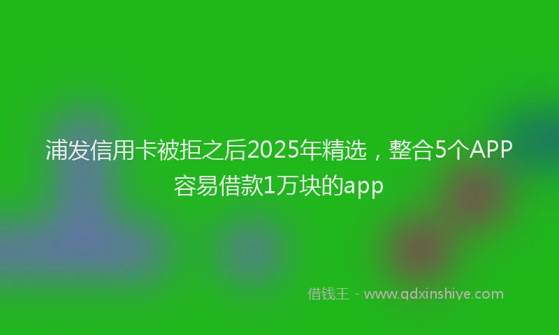 浦发信用卡被拒之后2025年精选，整合5个APP容易借款1万块的app