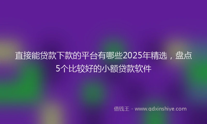 直接能贷款下款的平台有哪些2025年精选，盘点5个比较好的小额贷款软件