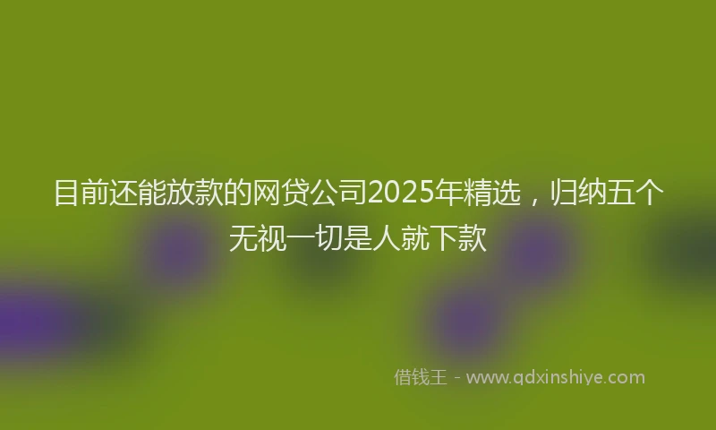 目前还能放款的网贷公司2025年精选，归纳五个无视一切是人就下款