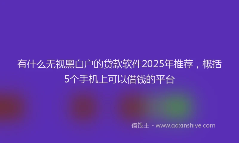 有什么无视黑白户的贷款软件2025年推荐，概括5个手机上可以借钱的平台