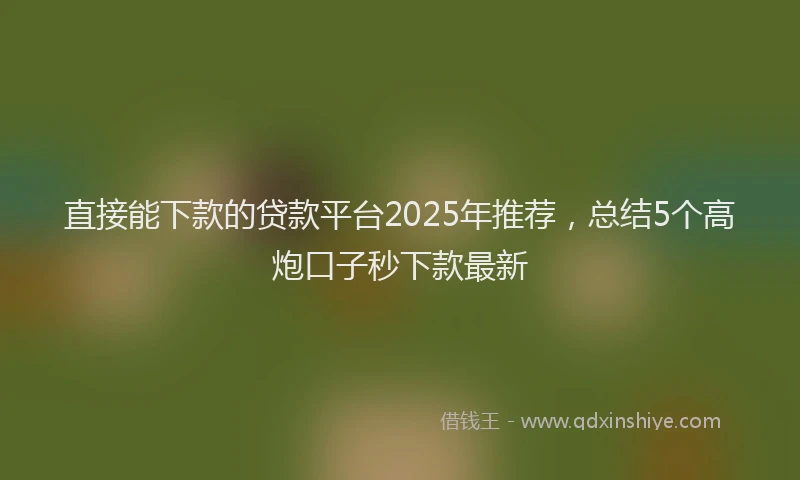 直接能下款的贷款平台2025年推荐，总结5个高炮口子秒下款最新
