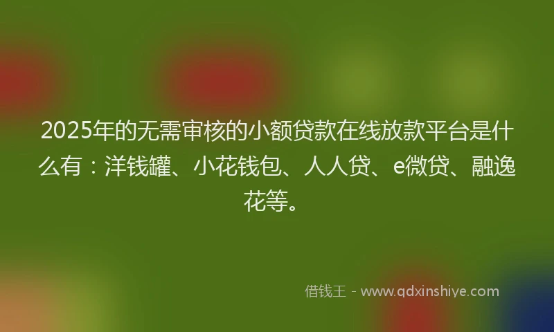 2025年的无需审核的小额贷款在线放款平台是什么有：洋钱罐、小花钱包、人人贷、e微贷、融逸花等。
