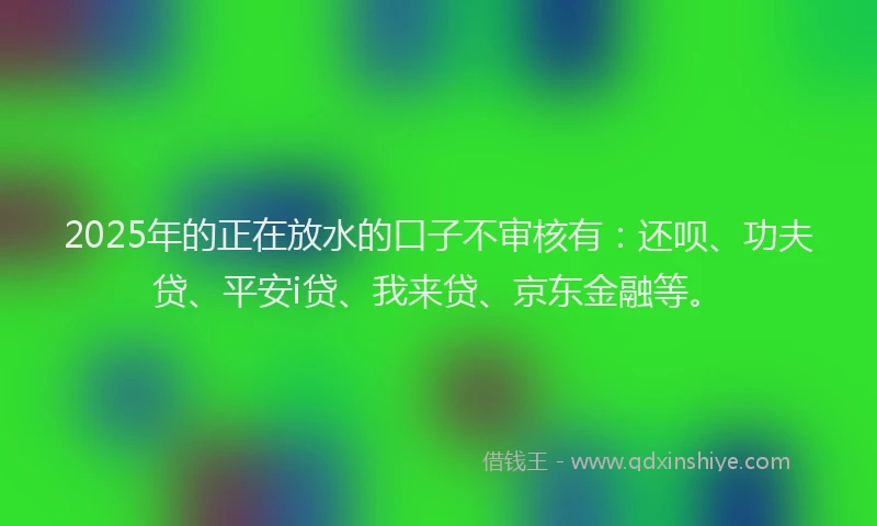 2025年的正在放水的口子不审核有：还呗、功夫贷、平安i贷、我来贷、京东金融等。