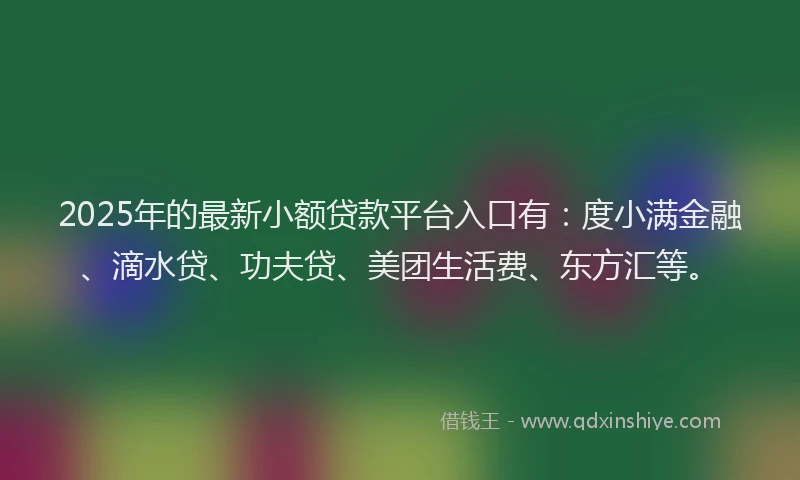 2025年的最新小额贷款平台入口有：度小满金融、滴水贷、功夫贷、美团生活费、东方汇等。