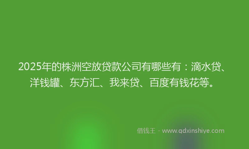 2025年的株洲空放贷款公司有哪些有：滴水贷、洋钱罐、东方汇、我来贷、百度有钱花等。