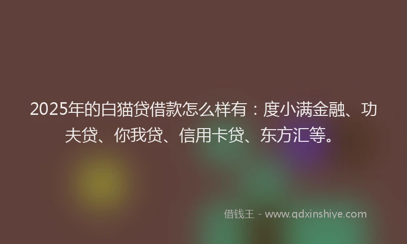 2025年的白猫贷借款怎么样有：度小满金融、功夫贷、你我贷、信用卡贷、东方汇等。