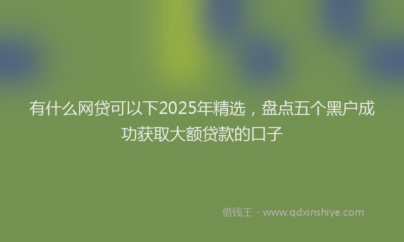有什么网贷可以下2025年精选，盘点五个黑户成功获取大额贷款的口子