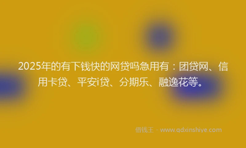 2025年的有下钱快的网贷吗急用有：团贷网、信用卡贷、平安i贷、分期乐、融逸花等。