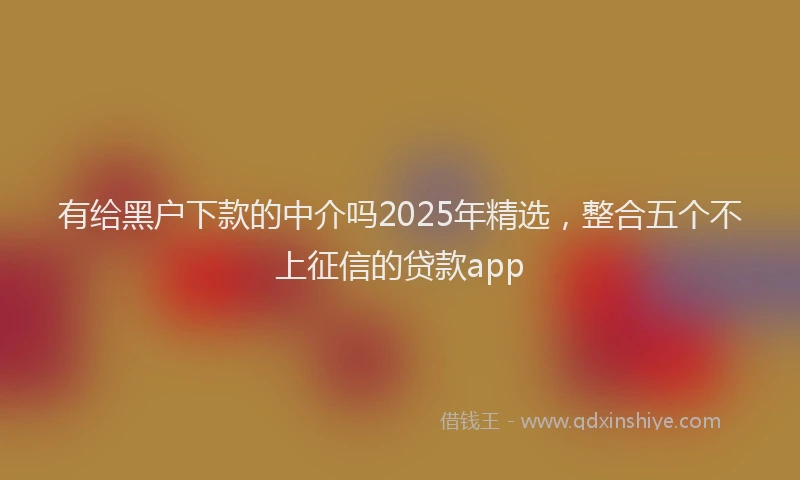 有给黑户下款的中介吗2025年精选，整合五个不上征信的贷款app