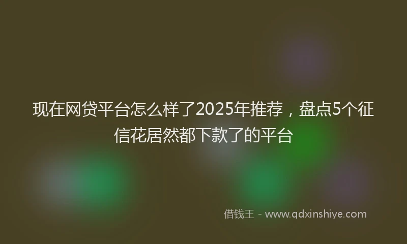 现在网贷平台怎么样了2025年推荐，盘点5个征信花居然都下款了的平台