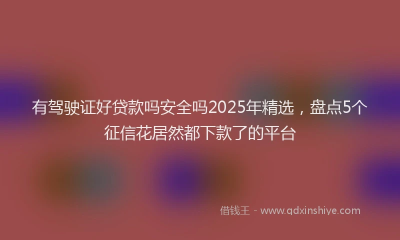 有驾驶证好贷款吗安全吗2025年精选，盘点5个征信花居然都下款了的平台