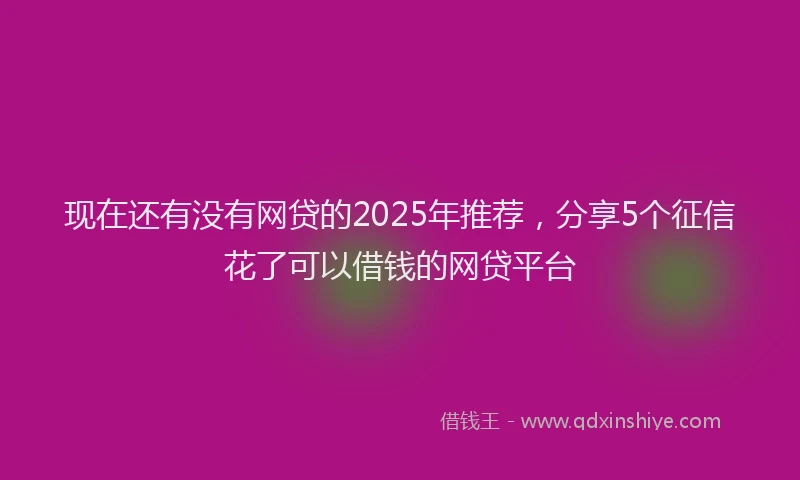现在还有没有网贷的2025年推荐，分享5个征信花了可以借钱的网贷平台