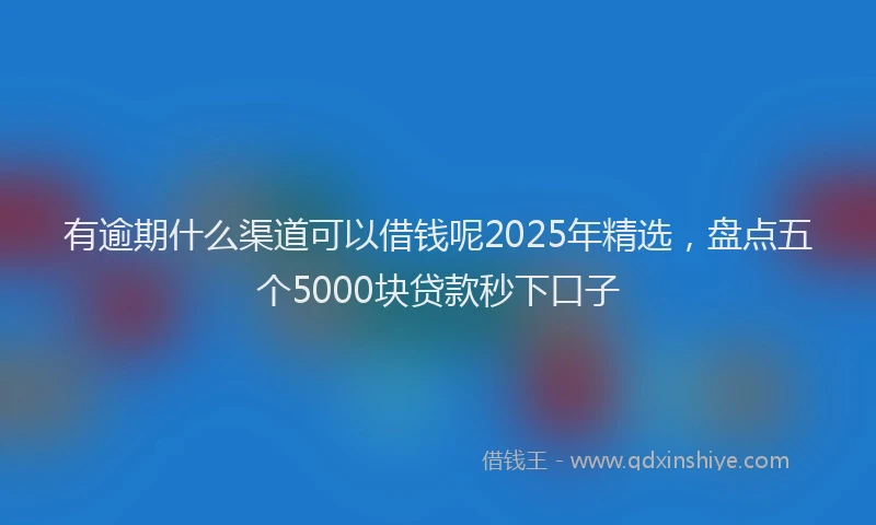 有逾期什么渠道可以借钱呢2025年精选，盘点五个5000块贷款秒下口子