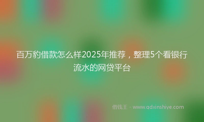 百万豹借款怎么样2025年推荐，整理5个看银行流水的网贷平台