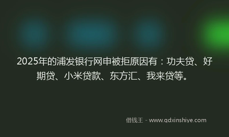 2025年的浦发银行网申被拒原因有：功夫贷、好期贷、小米贷款、东方汇、我来贷等。